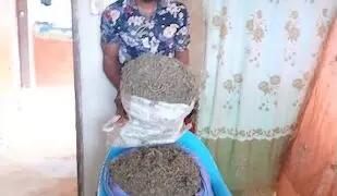 A man stands beside bags of marijuana following his arrest by the Liberia Drug Enforcement Agency (LDEA) in River Cess County, leading to a 15-year prison sentence