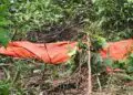 The body of missing man Augustine Nyaweh found buried in a swamp in Mount Barclay, prompting a police investigation into suspected mob killing.