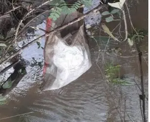 A plastic bag floats in the Wea River where the body of a 14-year-old girl was found, as the search for her missing cousin continues in Weala, Margibi County.