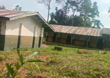 Dilapidated classrooms at Suasu Public School with damaged roof and overgrown compound