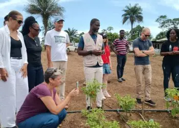 Dukuly Farm Emerges As Agricultural Hub, Draws Eu Praise In Bomi
