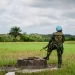 n UNMIL peacekeeper from Ghana on guard duty near the central city of Cestos during a visit by then head of UNMIL Karin Landgren in November 2012.