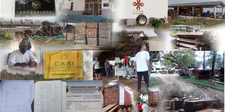 Investigation discovers illegal timber trafficking web at CARI