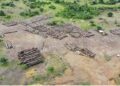An Iroko Timber and Logging Company log yard outside Greenville, Sinoe County. The DayLight/Derick Snyder