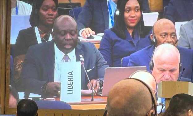 Liberia Permanent Mission Dispatch from IMO 132nd Session