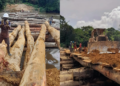 Masayaha’s bridge in Gbargbo, River Cess County breaks the FDA’s standards for a log bridge but blocking the flow of the watercourse. Picture credit: An anonymous villager