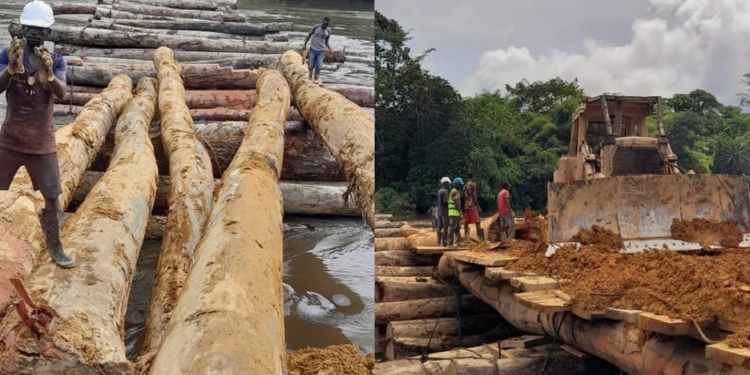 Masayaha’s bridge in Gbargbo, River Cess County breaks the FDA’s standards for a log bridge but blocking the flow of the watercourse. Picture credit: An anonymous villager