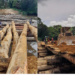 Masayaha’s bridge in Gbargbo, River Cess County breaks the FDA’s standards for a log bridge but blocking the flow of the watercourse. Picture credit: An anonymous villager