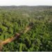The Liberian government delays to pay communities their benefits from logging concessions, covering a million hectares of forests. The DayLight/Derick Snyder