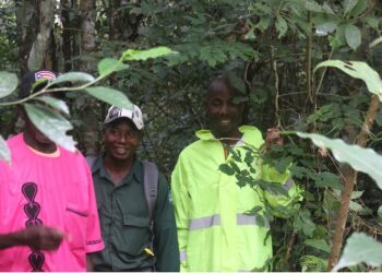 Members of the Sehyi Ko-doo Community Forest in Sanniquellie-Mahn District, Nimba County. The DayLight/James Harding Giahyue
