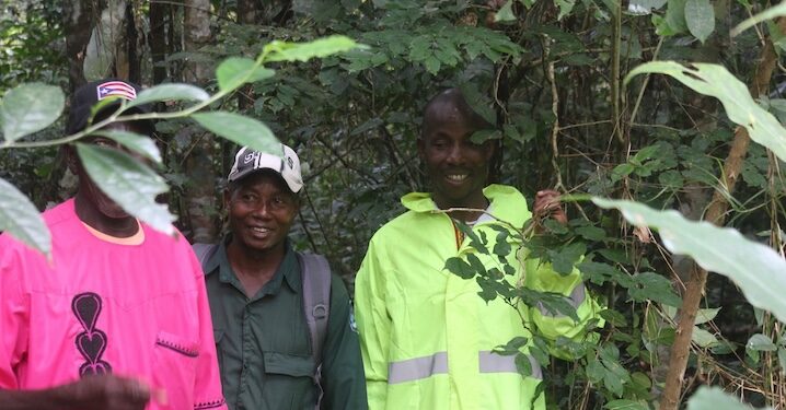 Members of the Sehyi Ko-doo Community Forest in Sanniquellie-Mahn District, Nimba County. The DayLight/James Harding Giahyue
