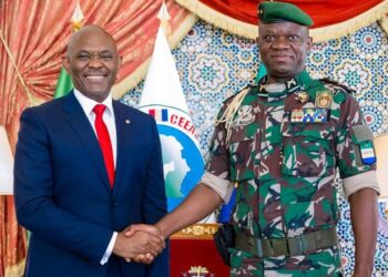 Elumelu commits to boosting Gabon’s infrastructure, youth empowerment