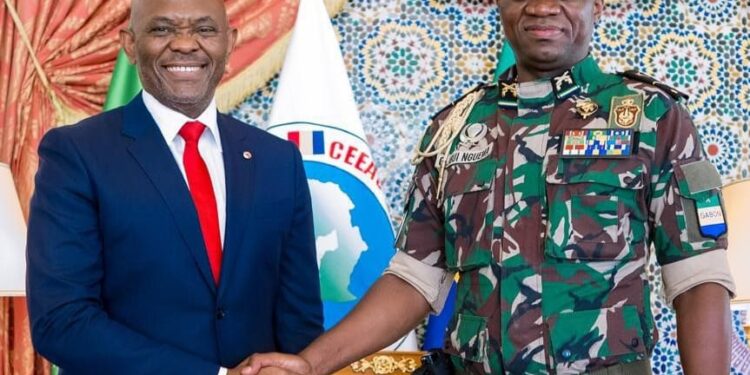 Elumelu commits to boosting Gabon’s infrastructure, youth empowerment