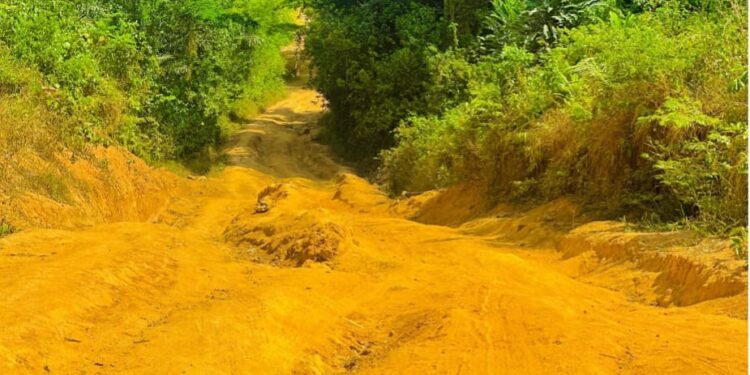 Deplorable roads in Panta District put livelihoods and lives at risk