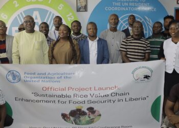 FAO Officer-in-Charge Ibrahim Ahmed and Agriculture Ministry officials pose with participants during the launch of the Sustainable Rice Value Chain Enhancement Project in Liberia.