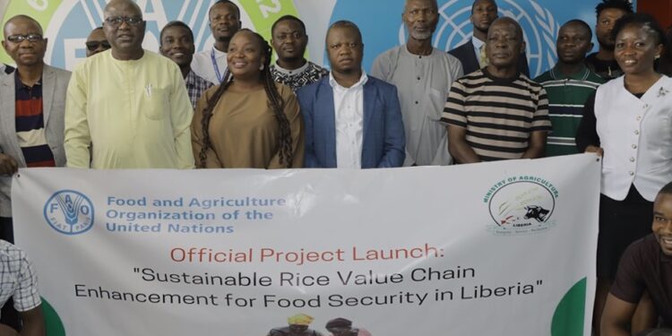 FAO Officer-in-Charge Ibrahim Ahmed and Agriculture Ministry officials pose with participants during the launch of the Sustainable Rice Value Chain Enhancement Project in Liberia.