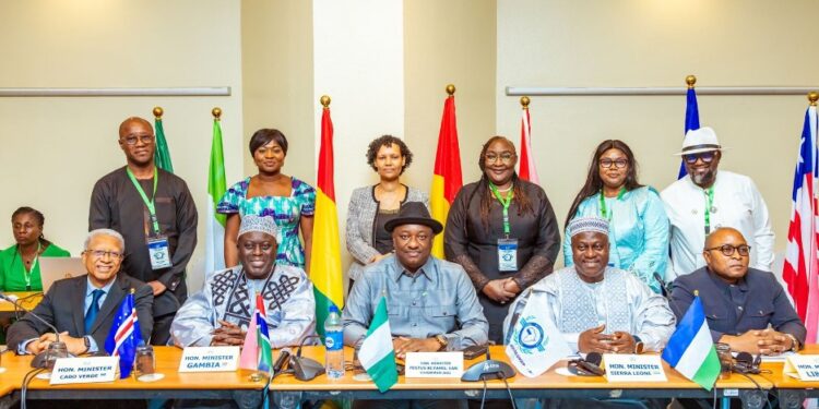 West African transport ministers and delegates pose during a high-level meeting in Abidjan, Ivory Coast, to discuss the establishment of a regional BAG States Airline.