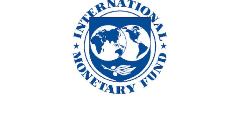 International Monetary Fund (IMF) logo featuring two hemispheres and an olive branch, representing global financial stability.
