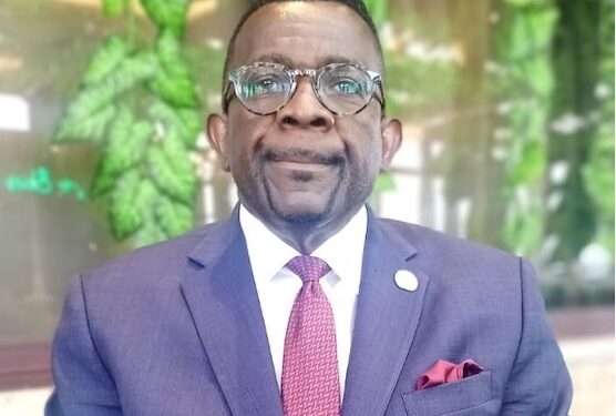 Dr. John T. Wulu Jr. encourages diaspora Liberians to support Liberia’s national development agenda under President Boakai