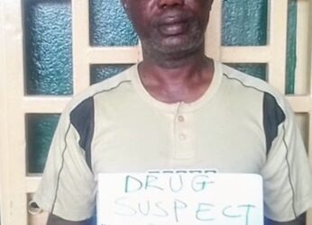 Liberia Drug Enforcement Agency (LDEA) logo used in reporting major heroin bust at Roberts International Airport.
