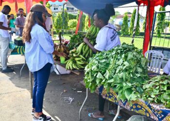 A woman buys fresh plantains and leafy vegetables from local vendors at UNIDO's Grow-2 Farmers’ Market in Monrovia, Liberia – June 2025.