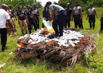 Liberian drug enforcement officers burn seized narcotics during World Anti-Drug Day along Roberts International Airport Highway