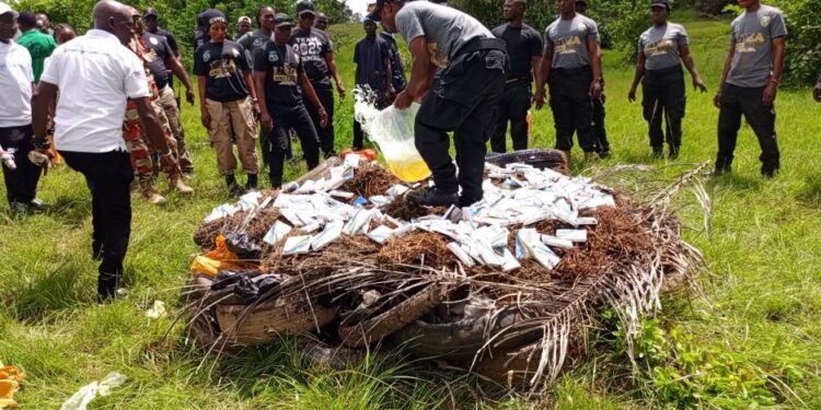 Liberian drug enforcement officers burn seized narcotics during World Anti-Drug Day along Roberts International Airport Highway