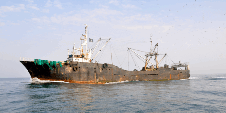 A large industrial fishing vessel at sea, representing the EU’s scrutiny of illegal fishing activities in West Africa