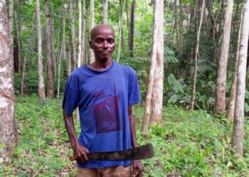 Liberian farmer Joseph Dumoe stands with cutlass in his Suakoko District farmland, wearing a political campaign shirt