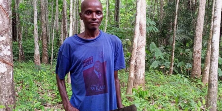 Liberian farmer Joseph Dumoe stands with cutlass in his Suakoko District farmland, wearing a political campaign shirt