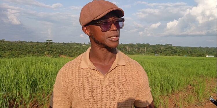 Quanuquanei Alfred Karmue stands on farmland cultivated by Panta Pride in Bong County, Liberia.