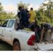 FDA patrol vehicle carrying arrested Burkinabé cocoa farmers suspected of clearing protected forestland in Grand Gedeh County