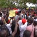 protestors in Monrovia