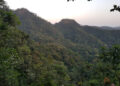 Dense forest covers Mount Wologisi’s towering slopes in Lofa County, Liberia, at sunset—a sacred and resource-rich landscape at the center of a heated national debate over mining and development