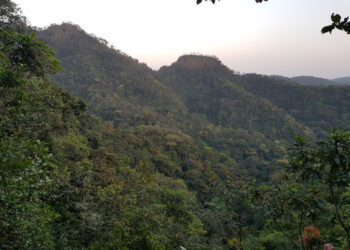 Dense forest covers Mount Wologisi’s towering slopes in Lofa County, Liberia, at sunset—a sacred and resource-rich landscape at the center of a heated national debate over mining and development