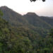 Dense forest covers Mount Wologisi’s towering slopes in Lofa County, Liberia, at sunset—a sacred and resource-rich landscape at the center of a heated national debate over mining and development