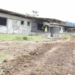 Partially renovated houses in Yekepa’s Area R under ArcelorMittal Liberia’s restoration project