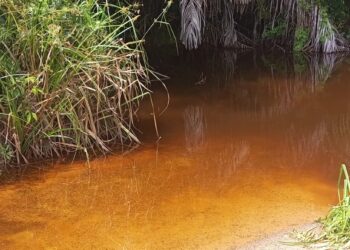 A contaminated water source in rural Bong County used by residents due to collapsed wells and lack of clean water infrastructure.
