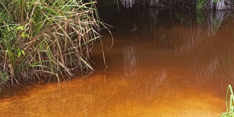 A contaminated water source in rural Bong County used by residents due to collapsed wells and lack of clean water infrastructure.