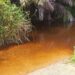 A contaminated water source in rural Bong County used by residents due to collapsed wells and lack of clean water infrastructure.