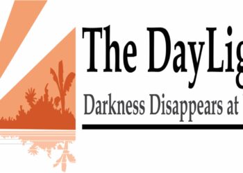 Screenshot showing The DayLight’s timber smuggling investigation recognized by the Global Investigative Journalism Network (GIJN) as one of Africa’s best in May 2025.