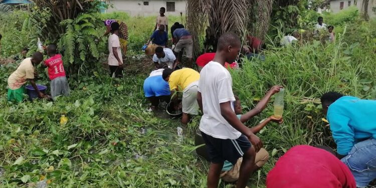 Residents in Buchanan, Grand Bassa County, collecting fuel from a leaking tanker belonging to missionaries, initially mistaken for an oil discovery.