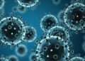 Microscopic illustration of influenza virus particles representing a seasonal flu outbreak in Liberia.