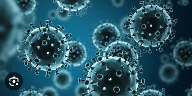 Microscopic illustration of influenza virus particles representing a seasonal flu outbreak in Liberia.