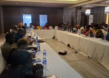 GOL and partners launched the Peacebuilding Impact Country Spotlight
