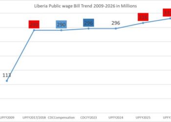 screenshot of public wage bill