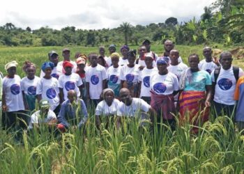 More than 100 farmers from RiverCess and Grand Bassa Counties have completed a four-day Farmers Exchange Visit Program