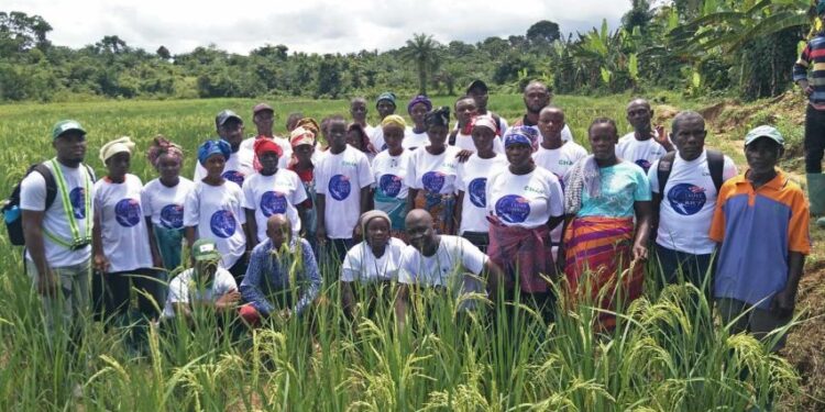 More than 100 farmers from RiverCess and Grand Bassa Counties have completed a four-day Farmers Exchange Visit Program