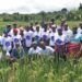 More than 100 farmers from RiverCess and Grand Bassa Counties have completed a four-day Farmers Exchange Visit Program