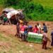 Police officers and residents recover goods and inspect a truck overturned in a fatal early-morning crash along Meleke Highway in Gbarnga, Bong County